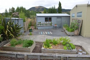 Vegetable-Garden